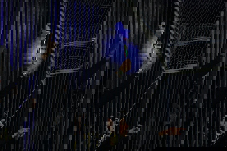 2160718